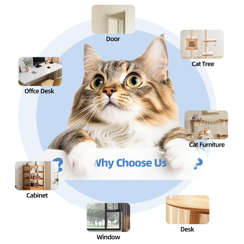 Petbela™ Automatic Remote-controlled Toy