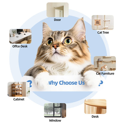 Petbela™ Automatic Remote-controlled Toy