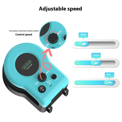 Petbela™ Cat enjoyment & Weight Loss Toy